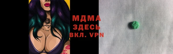 стаф Аркадак