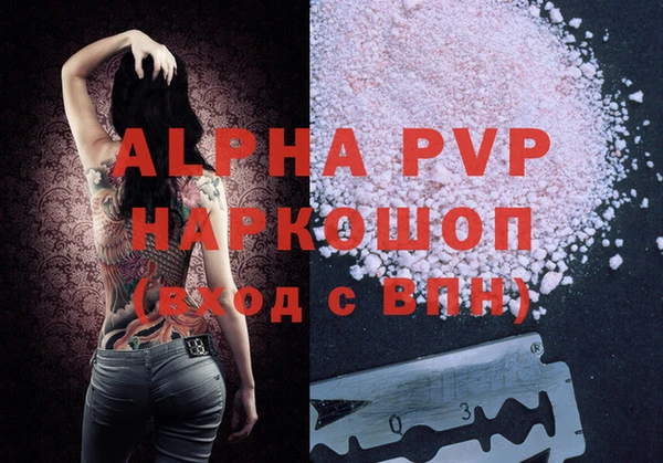 стаф Аркадак