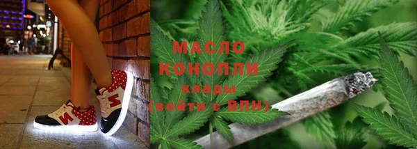 стаф Аркадак