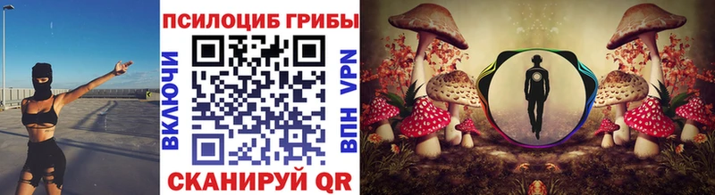 Галлюциногенные грибы Cubensis  магазин продажи наркотиков  Новочеркасск 